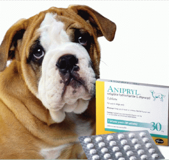 U.S. market for pet medications is going gangbusters www.packagedfacts.com unethical advertising uses falsehoods to deceive the public; ethical advertising uses truth to deceive the public - v stefansson